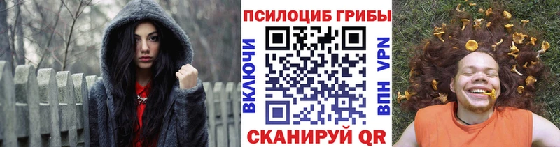 Псилоцибиновые грибы GOLDEN TEACHER  Купить где  Калининград 